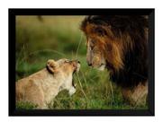 Quadro Decorativo Foto Leoa X Leão Natureza Selvagem
