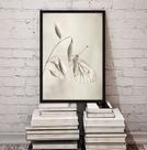 Quadro Decorativo Fotografia Branca Borboleta 33x24cm - com vidro