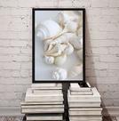 Quadro Decorativo Fotografia Branca Conchas 24x18cm - com vidro
