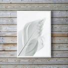 Quadro Decorativo Fotografia Branca Pena 33x24cm - com vidro Quadro Decorativo Fotografia Branca Pena 33x24cm - com vidro