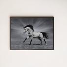 Quadro Decorativo Fotografia Cavalo Preto e Branco 45x34cm - com vidro