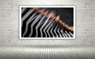 Quadro Decorativo Fotografia Crina Zebra - 70x50cm