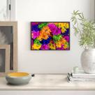 Quadro Decorativo Fotografia de Flores Multicoloridas 45x34cm