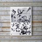 Quadro Decorativo Fotografia Pombos 45x34cm - com vidro
