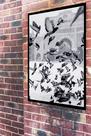 Quadro Decorativo Fotografia Pombos - 70x50cm