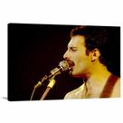 Quadro decorativo Fredie Mercury Retro Tela em Tecido