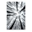 Quadro Decorativo Galhos Secos Natureza Lindo Para Sala