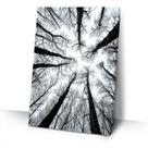 Quadro Decorativo Galhos Secos Natureza Sala nicho Quarto