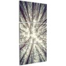 Quadro Decorativo Galhos Secos para Sala Natureza Parede