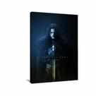 Quadro decorativo Game Of Thrones Winter has Come - Tela em Tecido