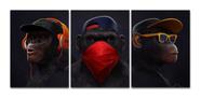 Quadro Decorativo Gangue Macacos Sábios Para Quarto 3 Peças