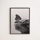 Quadro Decorativo Gato Com Borboleta 45x34cm - com vidro