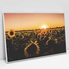 Quadro Decorativo Girassóis ao Entardecer em tela Canvas