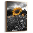Quadro decorativo Girassol Solitário Sob Céu Tempestuoso - Art Canvas