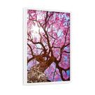 Quadro Decorativo Grande Cerejeira Rosa Céu Luz 60x40cm