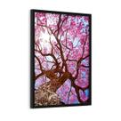 Quadro Decorativo Grande Cerejeira Rosa Céu Luz 60x40cm