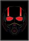 Quadro Decorativo Homem Formiga Super Heróis Nerd Geek Decorações Com Moldura G02