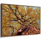 Quadro decorativo Ipê amarelo - Art Canvas