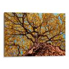 Quadro decorativo Ipê amarelo