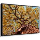 Quadro decorativo Ipê amarelo