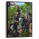 Quadro decorativo Jabuticaba - Art Canvas