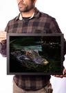 Quadro Decorativo Jacaré Anão Foto Animal Quadro Decorativo Jacaré Anão Foto Animal