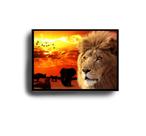 Quadro Decorativo Leão Africano Animais da Savana com Moldura E Acetato Tamanho A3