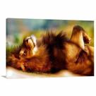 Quadro decorativo Leão Deitado Artístico Quadro decorativo Leão Deitado Artístico
