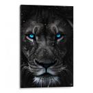 Quadro decorativo Leão dos Olhos Azuis em Nevasca - Art Canvas
