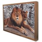 Quadro Decorativo Leão e Leoa em Moldura Caixa Quadro Decorativo Leão e Leoa em Moldura Caixa
