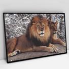 Quadro Decorativo Leão e Leoa em tela Canvas