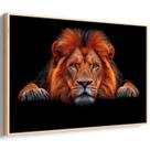 Quadro decorativo Leão Horizontal