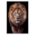 Quadro Decorativo Leão Judá Moldura Cx Alta 40x60 Quadro Decorativo Leão Judá Moldura Cx Alta 40x60
