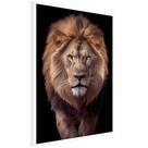 Quadro Decorativo Leão Judá Moldura Cx Alta 40x60