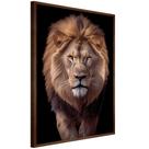 Quadro Decorativo Leão Judá Moldura Cx Alta 40x60 Quadro Decorativo Leão Judá Moldura Cx Alta 40x60