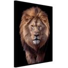 Quadro Decorativo Leão Judá Moldura Cx Alta 40x60 Quadro Decorativo Leão Judá Moldura Cx Alta 40x60