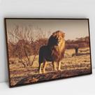 Quadro Decorativo Leão Predador em tela Canvas Quadro Decorativo Leão Predador em tela Canvas