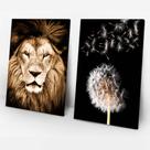 Quadro Decorativo Leão Sepia e Flor dente de leão 2 Telas 40x60