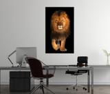 quadro decorativo leão