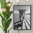 Quadro Decorativo Leopardo Preto e Branco 24x18cm - com vidro