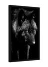 Quadro decorativo - lobo preto selvagem animais