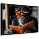 Quadro decorativo Macaco Culto