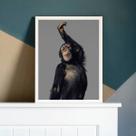 Quadro Decorativo Macaco Performance 45x34cm