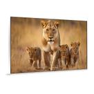Quadro Decorativo Mãe e 3 Filhotes Toque Elegante e Natural para sua Decoração Quadro Decorativo Mãe e 3 Filhotes Toque Elegante e Natural para sua Decoração