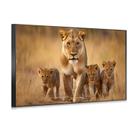 Quadro Decorativo Mãe e 3 Filhotes Toque Elegante e Natural para sua Decoração