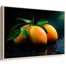 Quadro decorativo Manga