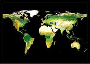 Quadro Decorativo Mapa-Múndi Físico Continentes Geografia Salas Escritórios Com Moldura RC075 Quadro Decorativo Mapa-Múndi Físico Continentes Geografia Salas Escritórios Com Moldura RC075