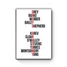 Quadro decorativo MDF Greys Anatomy Nomes Quadro decorativo MDF Greys Anatomy Nomes