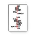 Quadro decorativo MDF Greys Anatomy Nomes Quadro decorativo MDF Greys Anatomy Nomes