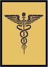 Quadro Decorativo Medicina Bastão De Esculápio Asclépio Fundo Dourado Com Moldura RC054